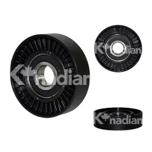 Polea Tensora > 65-113055 Knadian