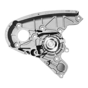 Bomba De Agua > 65-P2192 Knadian