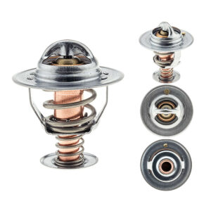 Termostato Estándar 76C/ 170F > 84-319-170 Part Master