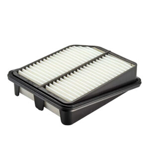 Filtro De Aire > F-102A86 Spq