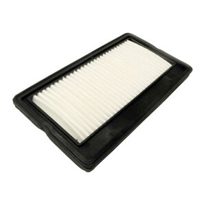 Filtro De Aire > F-25A10 Spq