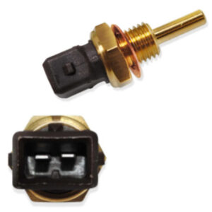 Sensor Cts > Número De Terminales: 2 > Fi-38363 Injetech